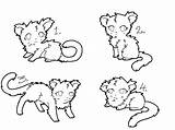 Lineart Adoptables Lion Cub Tiger sketch template