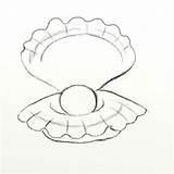 Clam Draw Drawing Giant Drawings Pearl Clams Shell Feltmagnet Drawn Step Opened Getdrawings Learn sketch template