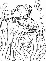 Sea Coloring Anemone Coral Pages Getdrawings sketch template