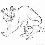Bear Coloring Disney Galore Brother Coloring4free Related Posts sketch template