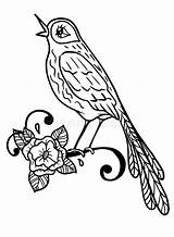 Rossignol Nightingale Stylized Vogel Assemblage Mignon Stylisé Zeichnung Niedlichen Nachtigall sketch template