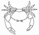 Crab Coloring Spider Pages Blue Printable Drawing Sebastian Template Horseshoe Kids Getdrawings Color Designlooter Cool2bkids Getcolorings Drawings 1kb Sketch sketch template