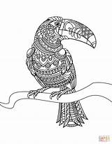 Toucan Zentangle Mandala Sheets Coloriage Animaux Oiseau Wolf Bookmark Drukuj Healthcarechannel sketch template