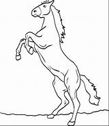 Horse Coloring Pages Horses Drawing Kids Rearing Morgan Printable Easy Clydesdale Getcolorings Getdrawings Color sketch template