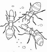 Ant Coloring Pages Ants Eggs Printable Three Fire Collecting Drawing Nest Their Kids Printables Color Books Print Insect Spelling Getcolorings sketch template