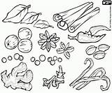 Spices Coloring Pages Drawing Spice Printable Assortment Getdrawings Ginger sketch template