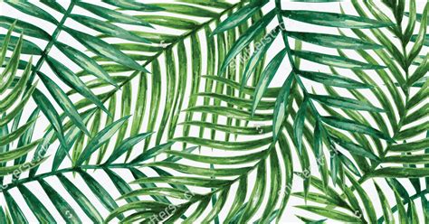 printable palm leaf template image result  palm leaf template