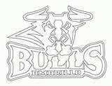 Bulls Bull Colorine Coloringhome Getdrawings sketch template