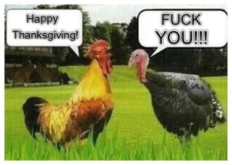 rooster vs turkey funny thanksgiving pictures funny thanksgiving