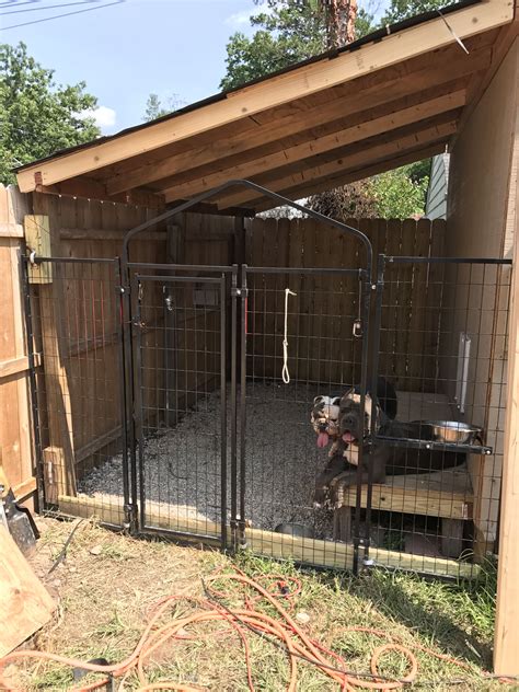 built  dog kennel   side   shed building  dog kennel dog kennel outdoor dog