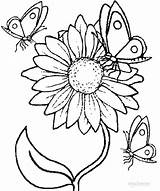 Sunflower Butterflies Coloring Pages Pasta Escolha Girassol sketch template