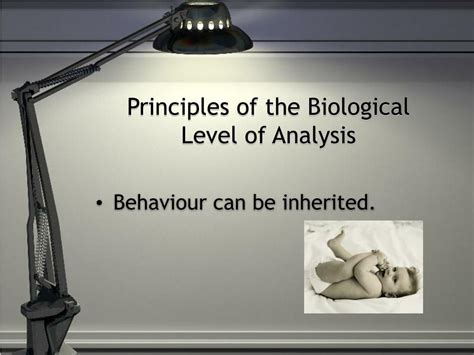 ppt the biological level of analysis powerpoint presentation free