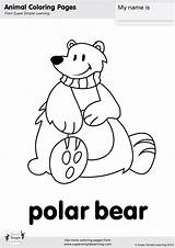 Supersimple Arctic Cartoon Teddy sketch template