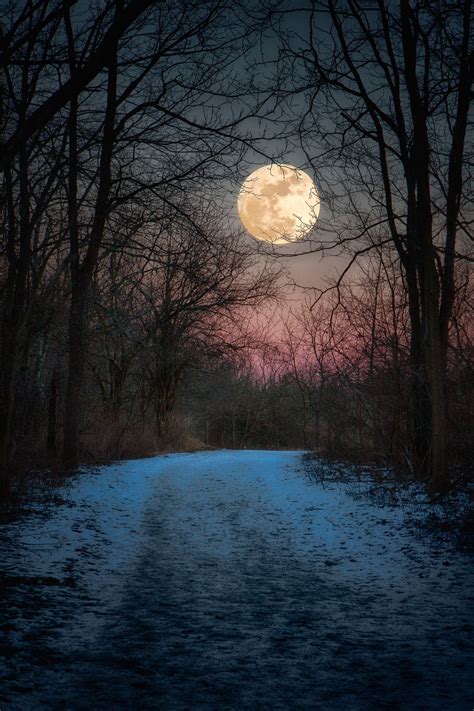 full wolf moon rising  snow covered trail  sugarcreek metropark  dayton ohio