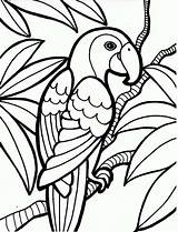 Burung Mewarnai Tua Kakak Hewan Coloring sketch template