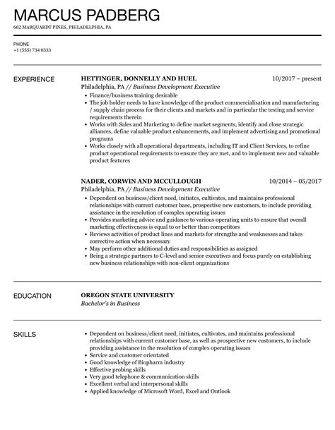 business executive resume