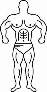 Guy Man Buff Drawing Muscle Clipart Muscular Getdrawings Outline Clipartmag Collection Men Paintingvalley Webstockreview sketch template