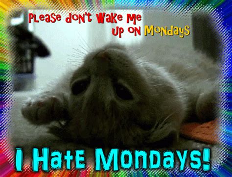 Don’t Wake Me Up On Mondays Free Monday Blues Ecards