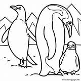Penguin Arctic Pinguin Pingwin Kolorowanki 73b8 Penguins Emperor Dzieci Azcoloring Toddlers Wydruku Popper Getcolorings Malvorlagen Letzte Seite sketch template