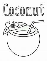 Coconut Coloring Pages Printable Color Onlinecoloringpages Sheet Print sketch template