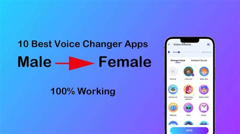 male  female voice changers  voice trolling