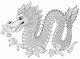Ausmalbilder Drachen Zentangle Antistress Drache Chinesischer Erwachsenen Grafiken Malbuch Gezeichnete 123rf Symbole Illustration sketch template