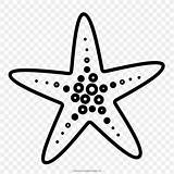 Etoile Starfish Colorare Immagini Clipartkey sketch template