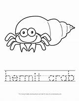 Crab Hermit Template Crabs sketch template