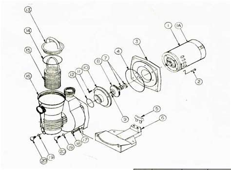 pentair pinnacle pump parts diagram