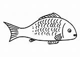 Coloring Fish Printable Pages Large sketch template
