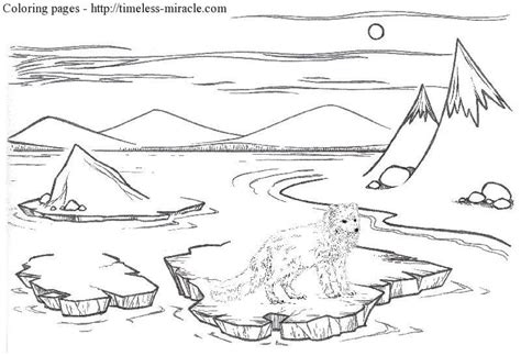 tundra animals pages coloring pages