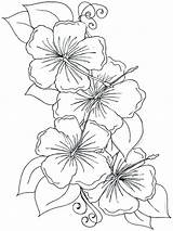 Coloring Hibiscus Flower Pages Violet Drawing Orchid Printable Rose Line Flowers Color Print Petal Drawings Kids Shape Getcolorings Fleur Comments sketch template