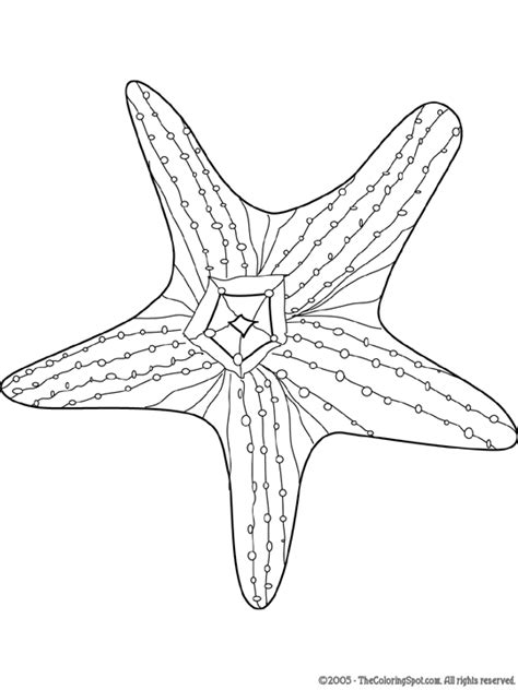 starfish audio stories  kids  coloring pages colouring