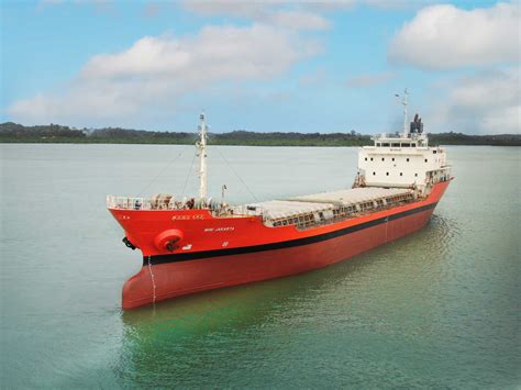 miniships  chartering  shipping partner
