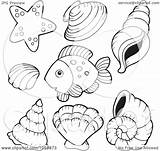 Fish Shells Coloring Outlines Shell Collage Sea Illustration Digital Clipart Clip Pages Royalty Visekart Vector Conch Outline Seashells Kids Printable sketch template