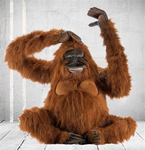 king louie orangutan big furry friends