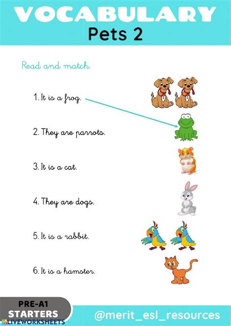 pets read  match interactive worksheet exercise  kids pets worksheets