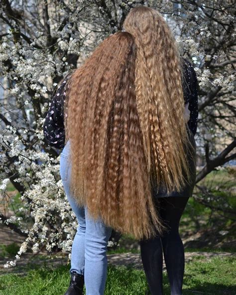pin by david gergely on very long hair in 2020 long hair girl long