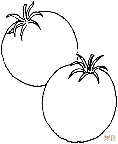 tomatoes coloring page  printable coloring pages