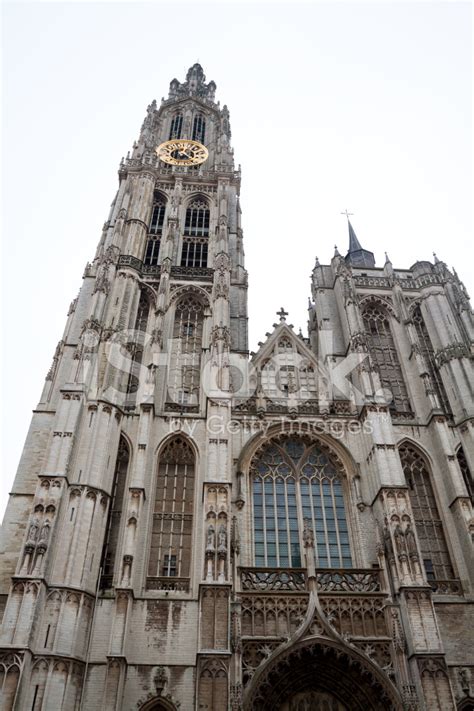 cathedral antwerp stock photo royalty  freeimages