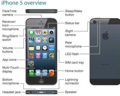 iphone  diagram cheat sheet iphone screen repair iphone iphone buttons