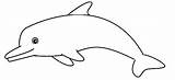 Dauphin Dolphin Dolphins Coloriages Poisson sketch template