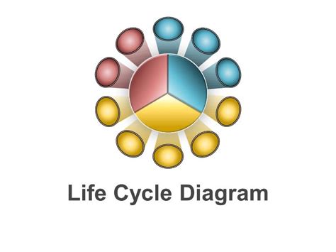 life cycle diagram