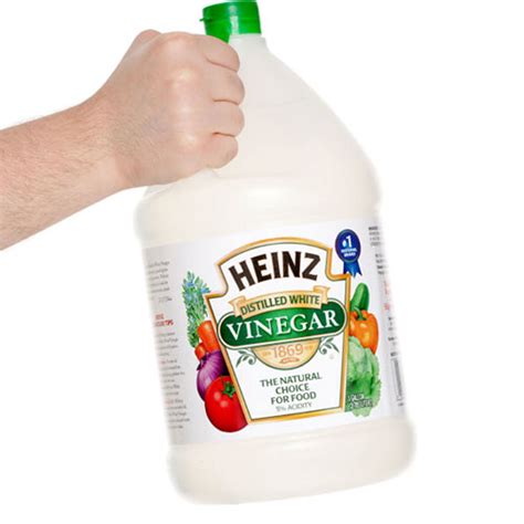 vinegar  vinegar green cleaning  home remedies