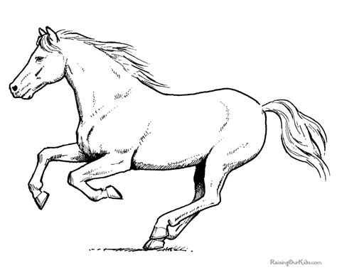 paint horse coloring pages  horses harrumg