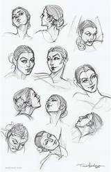 Face Drawing Draw Drawings Angles Step Faces Webneel Sketch Woman Angle Tutorials Back Techniques Head Tutorial Learn Simple Down Poses sketch template