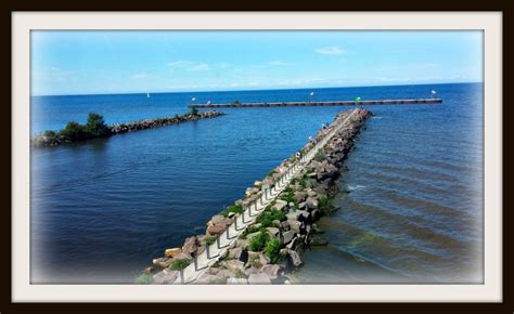 summer challenge point breeze amethyst roses muses