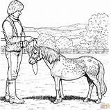 Horse Shetland Kuc Printable Szetlandzki Kolorowanka Kolorowanki Colouring Ponies Druku sketch template