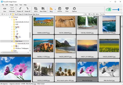 focuson image viewer      latest freeware