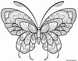 Adulte Papillon Jolis Gratuit sketch template